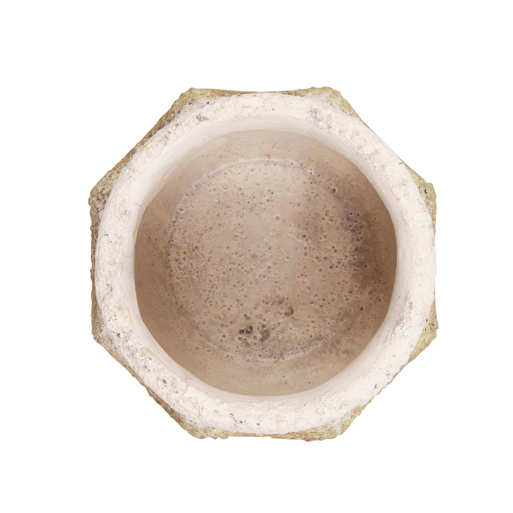 Ancient Leaf Cement Flower Pot Set